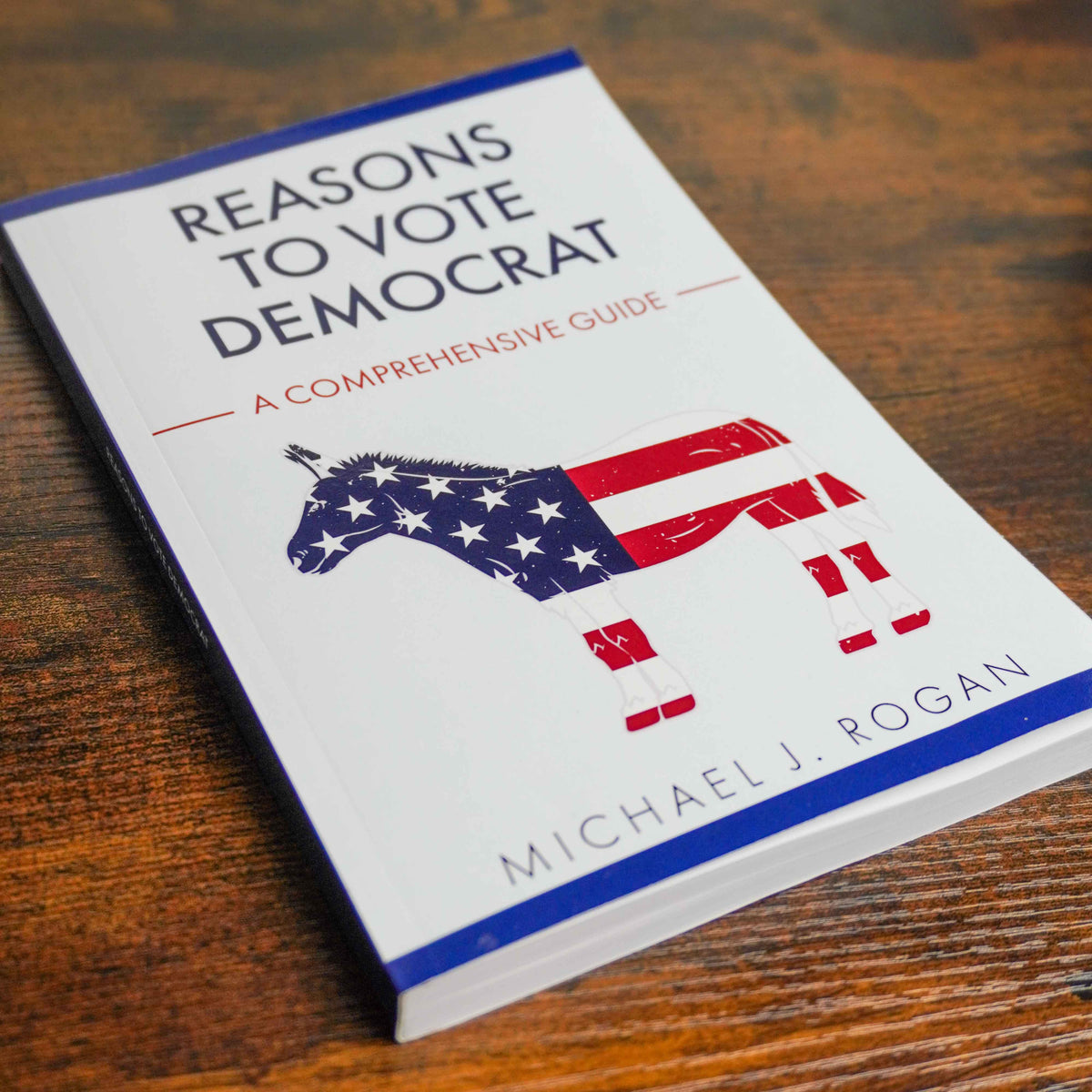 Reasons To Vote Dem Book (It's a Blank Book)