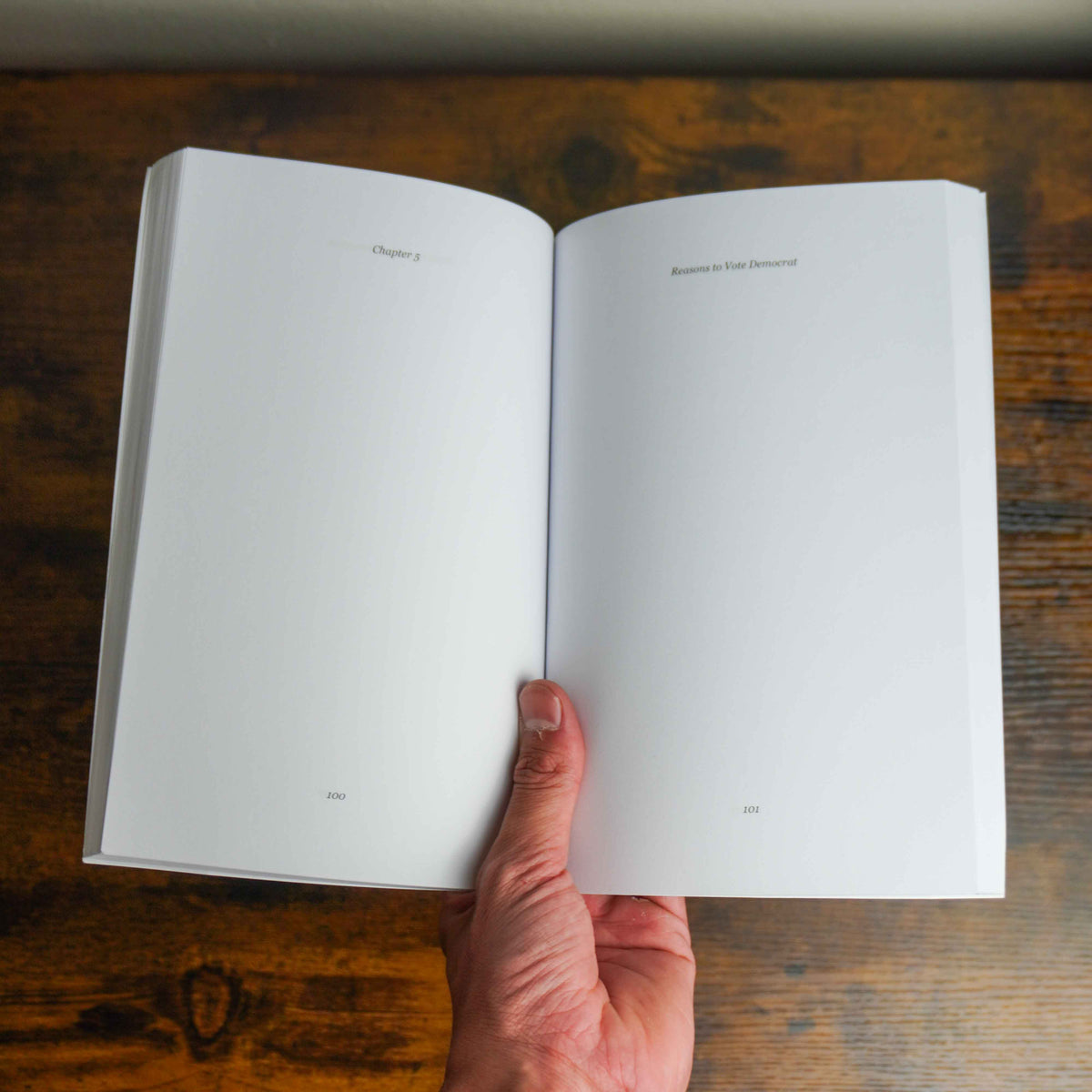 Reasons To Vote Dem Book (It's a Blank Book)