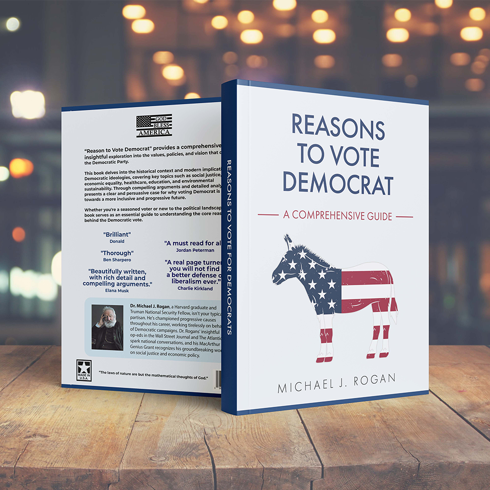 Reasons To Vote Dem Book (It's a Blank Book)